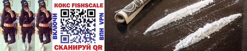 Купить закладки  Людиново  Cocaine 98% 