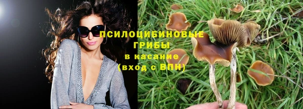 кокаин премиум Гусев