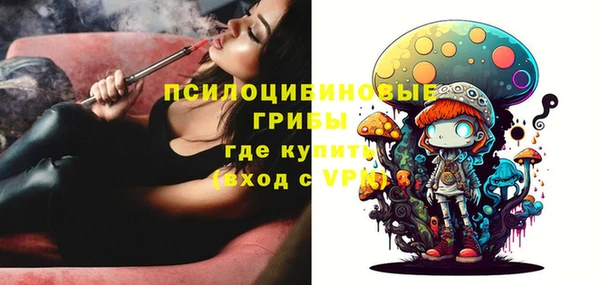а пвп мука Гусиноозёрск