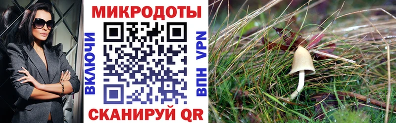 Псилоцибиновые грибы MAGIC MUSHROOMS Людиново